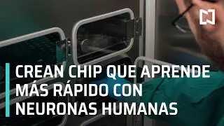 Crean chip con neuronas humanas que aprende m&aacute;s r&aacute;pido que la Inteligencia Artificial - En Punto