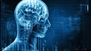 Understanding Human Conditioning