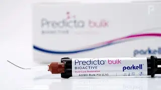 Dr. Sjobbe Besseling on Predicta&reg; Bioactive Bulk