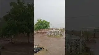 Bom dia galera a chuva chegou no sert&atilde;o #vidanaro&ccedil;a