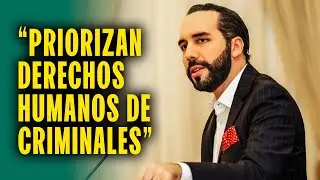 Bukele critica a organizaciones de derechos humanos por priorizar a los criminales