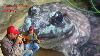 Kentucky River Bullfrog The Moron Brothers Bluegrass Music Comedy