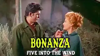 Bonanza | Five into the Wind