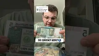 Insane Money Collection🤑