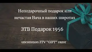 Бритьё бритвой ЗТВ 