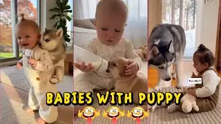 Cutest Baby Playing with Puppy Compilations | baby Laugh | Baby Funny Videos