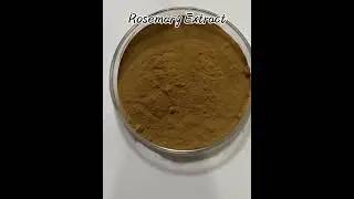 Comext biotech China professional supplier rosemary extract #protein  #fruitandvagetablepowder