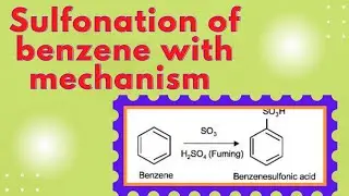 Sulfonation of benzene with mechanism in easy (Hindi)l Organic chemistry -2 ll Notes in description