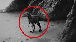 50 Animals Once Thought EXTINCT &mdash; Caught ALIVE on Camera