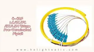 Preterminated Fiber Optic Patch Cables | HOLIGHT Plug-and-Play Cabling Solution