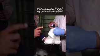 Fake Milk Factory Exposed: Detergent and Chemicals Found in &lsquo;Pure&rsquo; Milk - Punjab Food Authority Raid