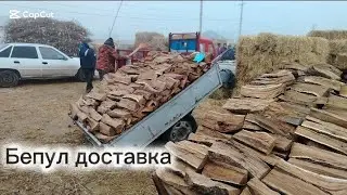 О'tin narxlari #отин нархлари