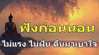 ฟังธรรมะบทนี้เพื่อชำระล้างใจให้สงบ หลับลึกถึงเช้า #ธรรมะก่อนนอน