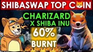 🚨Top Coin on Shibaswap | Shiba Inu Based Charizard Inu Coin | Charizard Shiba Burn | Best Meme Coin