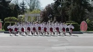 Flori de Tei -  Polca