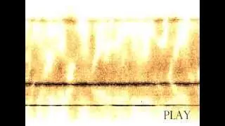 A Celluloid Process