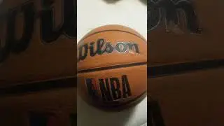 Wilson NBA DRV PRO Basketball