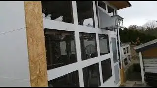 Обзор голубятни с племенными и молодыми голубями. Голубевод Sergej Peters, Germany. Pigeons.