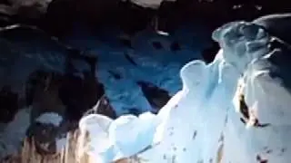 Your Name