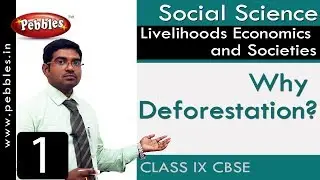 Why Deforestation? : Livelihoods Economics and Societies | Social | CBSE Syllabus | Class 9