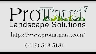 Best Turf Company in Oceanside California ProTurfGrass.com
