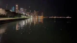 Aurora Borealis search led to sleeping geese on Lake Michigan 😴
