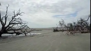 Ossabaw Island Beach