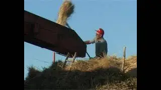 La trebbiatura 2006