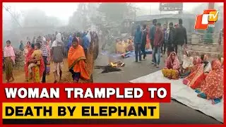 Man-Animal Conflict: Woman Dies In Elephant Attack In Odisha&rsquo;s Angul, Locals Stage Protest