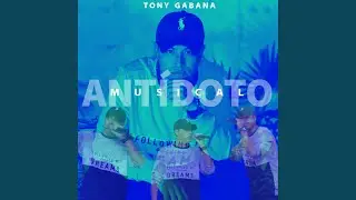 Ant&iacute;doto Musical