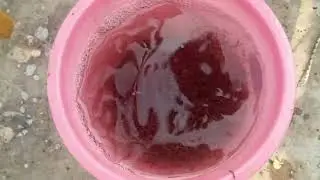 Biological me kharab sv ko kaise sahi kare#Etp plants me biological sv ka kya kam hota hai