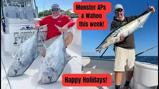 Monster African Pompano 2024 | Pompano fishing rig | Pompano | Wahoo Bite | Floridasportfishingtv