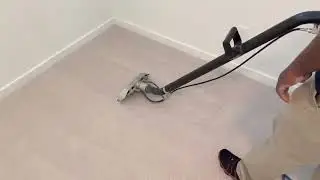 Steam Carpet Cleaning in Eastmark Mesa AZ | Local Veteran-Owned Business