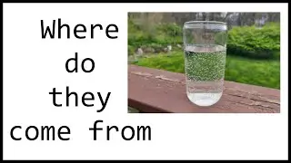 Why Do Bubbles Appear In Water