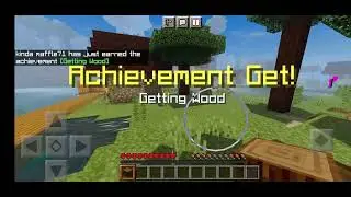 Minecraft Java in (vivo) $1