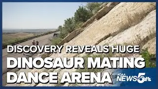 Dinosaur Ridge discovery reveals huge dinosaur mating dance arena