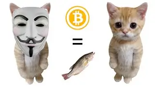 What is crypto by Cat Bob?