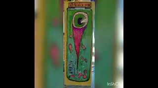 apoloweed 01