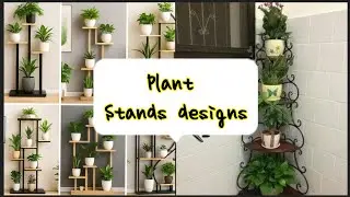 Amazing Plant Stands Designs New plant stands with iron stands #Plant stands #2025