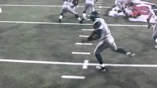 Madden 2013 Glitch