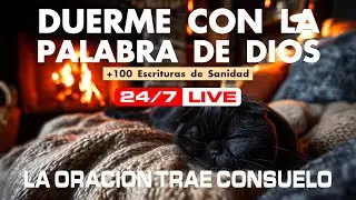 Salmos poderosos y Palabra de dios traen equilibrio interior. Descansa.