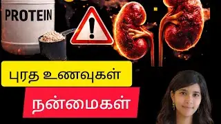 Does protein cause Kidney damage #protein foods in tamil #