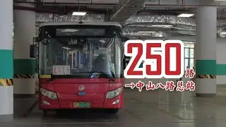 清明特辑 #2走街串巷 横贯海珠POV103广州公交250路→中山八路总站