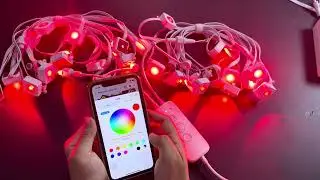 Step-by-Step Tutorial - Change Single Color for All Lights under Pixel Mode of ASAHOM APP