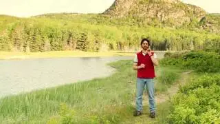 Outdoor Photo Tips from Acadia National Park