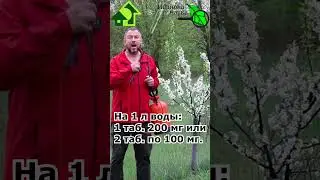 Заставить пчел опылять сад даже в холод. Все пчелы только в вашем саду. #иванованаука #сад #огород