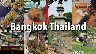 Bangkok Thailand Vlog 🇹🇭 / ICONSIAM MALL, LITTLE ZOO GARDEN, LUMPHINI PARK, AND MORE / #thailand