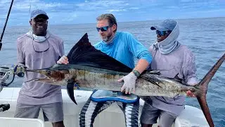 Fly fishing off Kenya coast. East Africa. Sailfish.