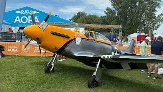 ScaleWings SW-51 All-Carbon P-51 Mustang (with fake rivets cast right into the mold)