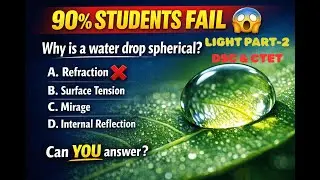 Light - Reflection & Refraction | Light MCQ's Part -2 | Physics Class 10th | CBSE & SSC | DSC & CTET